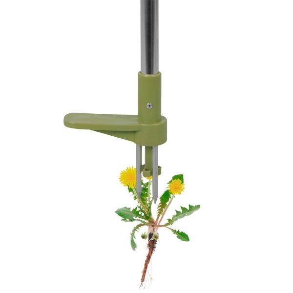 Ergonomischer Unkrautstecher 100cm: Rückenschonendes Jäten ohne Bücken & Chemie, robuster Löwenzahnstecher für Rasen & Garten
