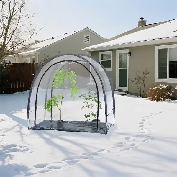 Robustes Foliengewächshaus und Überwinterungszelt, 175x186x84 cm: Ein Pflanzenschutzzelt für optimale Ernte & frostfreie Pflege