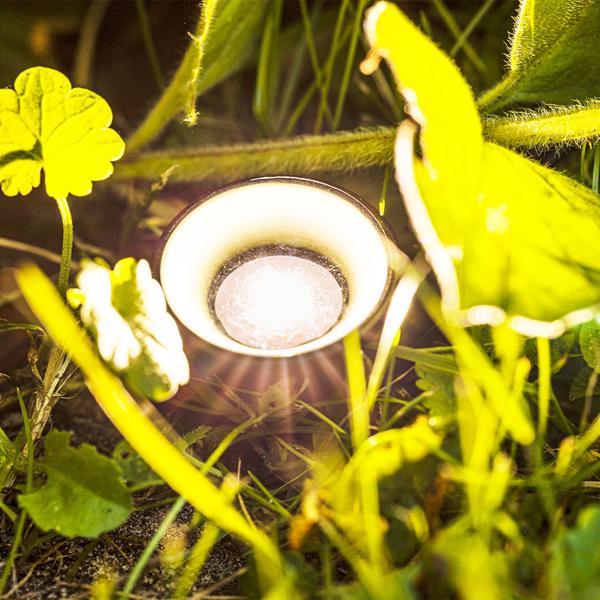 LED Solar Gartenstrahler mit 10 Bodenspots – Pflanzen- & Baumbeleuchtung – Warm-weisses Licht, IP44 wetterfest, 20 Lumen, 5.5m Gesamtlänge