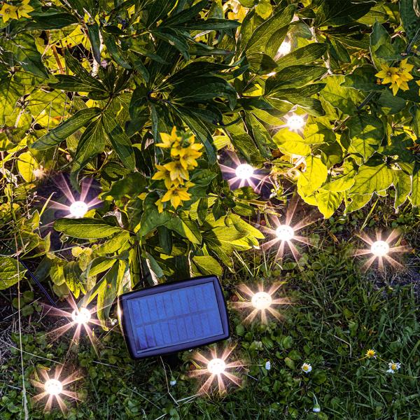 LED Solar Gartenstrahler mit 10 Bodenspots – Pflanzen- & Baumbeleuchtung – Warm-weisses Licht, IP44 wetterfest, 20 Lumen, 5.5m Gesamtlänge