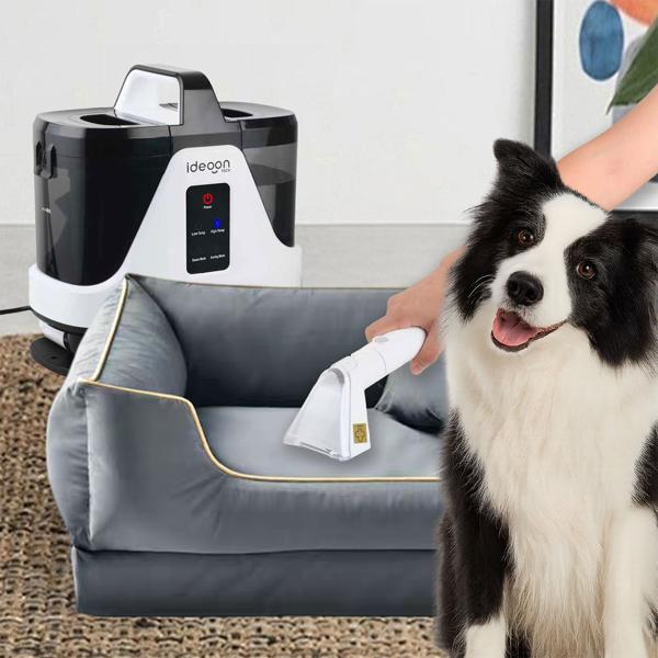 Ultimativer 3in1 Waschsauger Polsterreiniger Dampfreiniger, 1700W – Professionelle Tiefenreinigung für Teppiche, Auto, Matratzen & Zuhause