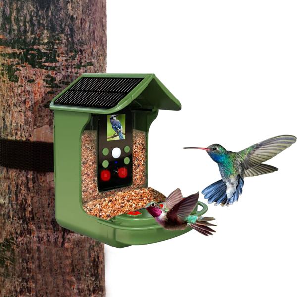 Vogel-Futterhaus mit Kamera und Solarpanel: Wildkamera zum Entdecken der Vogelwelt im Garten hautnah