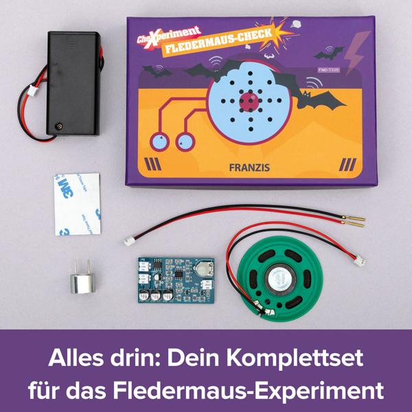 CheXperiment Fledermaus-Check - Mit diesem Fledermaus-Detektor tauchen Sie in die Welt der nächtlichen Jäger ein