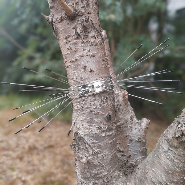 Effektiver Marder-Abwehrgürtel 2er Set aus Edelstahl, Kletterschutz für Regenrohre und Bäume, Abwehr gegen Waschbären & Katzen, leichte Montage
