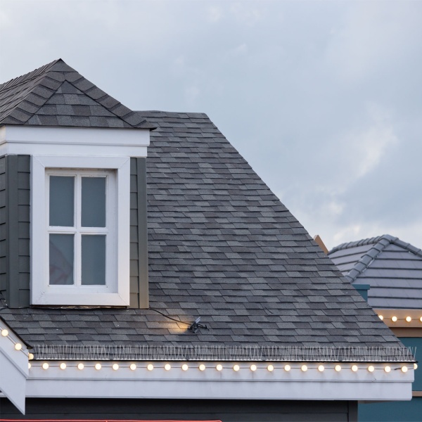 Effektive 10er-Set Taubenabwehr Spikes, 3-reihig Edelstahl, 5m - individuell anpassbar - Robuste Abwehr-Spitzen für optimalen Vogelschutz