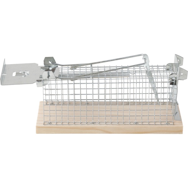 4er-Set Maus-Käfigfalle - Wiederverwendbare Lebendfalle für innen und aussen - Effektive Mausefalle mit sicherem Schliessmechanismus