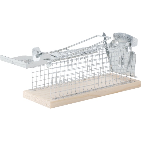 4er-Set Maus-Käfigfalle - Wiederverwendbare Lebendfalle für innen und aussen - Effektive Mausefalle mit sicherem Schliessmechanismus