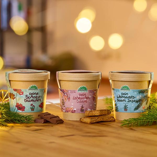 Schönes Lebkuchenbaum Anzuchtset – Duft-Garantie: Zimt & Lebkuchen! Wundervolles Katsurabaum Zuchtset für Ihr Zuhause – Ideales Geschenk!