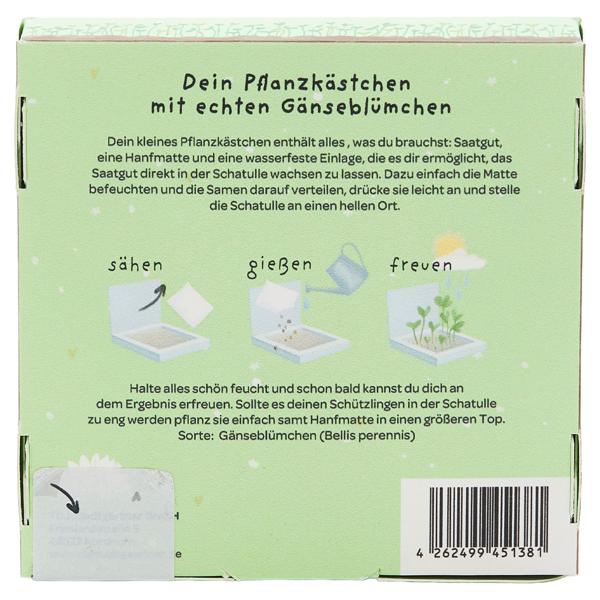 Charmantes Gänseblümchen-Pflanzset "Gans lieben Dank" – Einzigartiges Geschenk & Bedanken, das wächst & lange Freude schenkt - Perfekt für Weihnachten