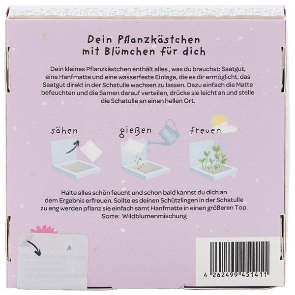 Wiesen-Margeriten Pflanzset "Danke, dass du mir beim Wachsen geholfen hast" – Einzigartiges Geschenk & Bedanken, das wächst & lange Freude schenkt