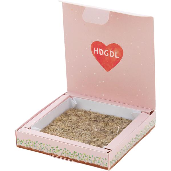 Hübsches Wildblumensaatgut-Pflanzset "Hab dich ganz doll lieb" – Einzigartiges Geschenk & Bedanken, das wächst & lange Freude schenkt 