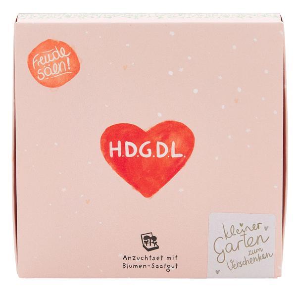 Hübsches Wildblumensaatgut-Pflanzset "Hab dich ganz doll lieb" – Einzigartiges Geschenk & Bedanken, das wächst & lange Freude schenkt 