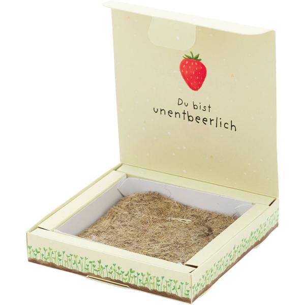 Süsses Erdbeeren-Set "Du bist unentbeerlich" – Einzigartiges Geschenk & Bedanken, das wächst & lange Freude schenkt - Einfache Zucht im Topf/Beet!