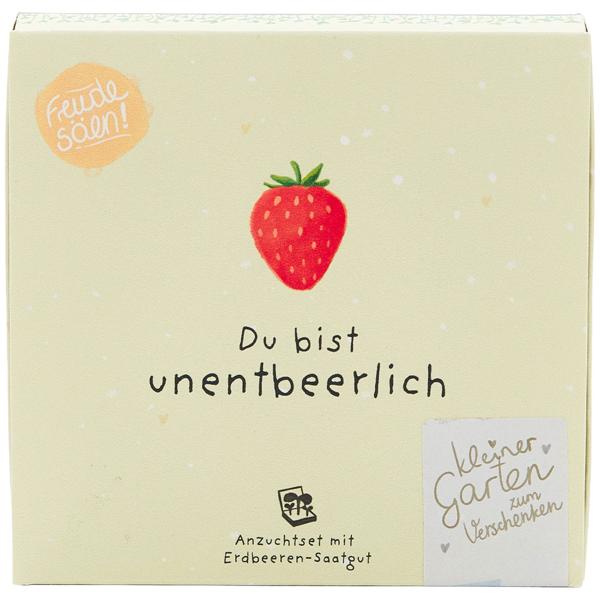Süsses Erdbeeren-Set "Du bist unentbeerlich" – Einzigartiges Geschenk & Bedanken, das wächst & lange Freude schenkt - Einfache Zucht im Topf/Beet!