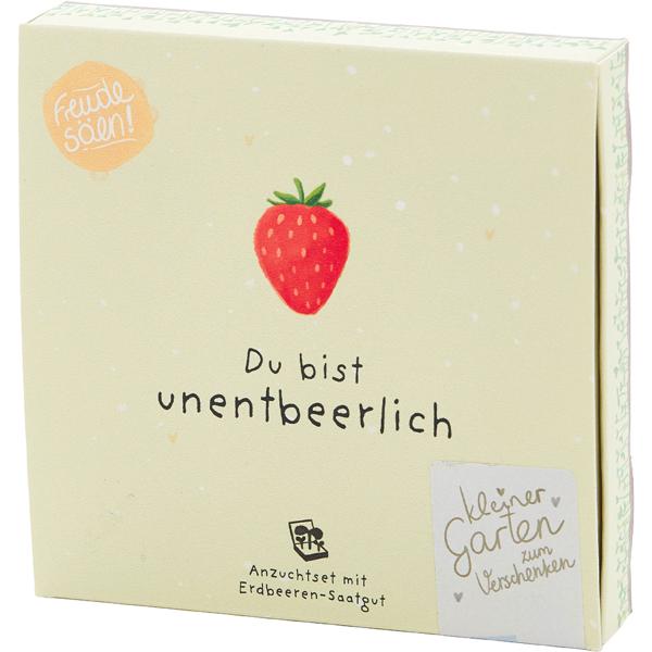 Süsses Erdbeeren-Set "Du bist unentbeerlich" – Einzigartiges Geschenk & Bedanken, das wächst & lange Freude schenkt - Einfache Zucht im Topf/Beet!