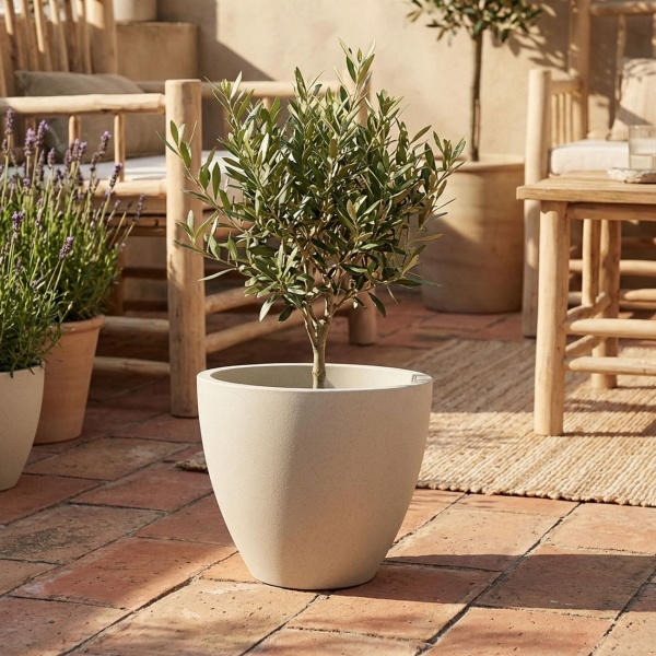 Moderner Pflanzkübel Rund Ø58cm in Sand, Blumentopf 86L aus Kunststoff für Innen & Aussen, Frostsicher & UV-Beständig, Leichtgewicht