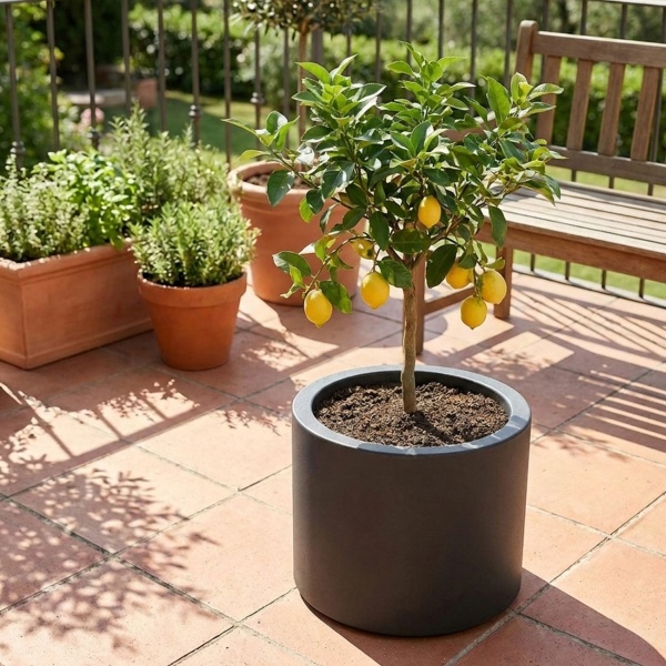 Moderner Blumentopf Rund Ø47cm in Anthrazit, Pflanzkübel 40L aus Kunststoff für Innen & Aussen, Frostsicher & UV-Beständig, Leichtgewicht