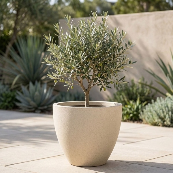 3er-Set Moderner Pflanzkübel Rund Ø38cm in Sand, Blumentopf 23L aus Kunststoff für Innen & Aussen, Frostsicher & UV-Beständig, Leichtgewicht