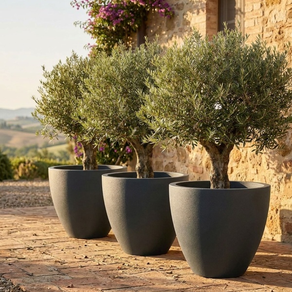 3er-Set Blumentopf Rund 58cm, Graphit – Grosses Pflanzgefäss für Aussen und Innen – Moderne Optik & Edles Design für Garten und Terrasse