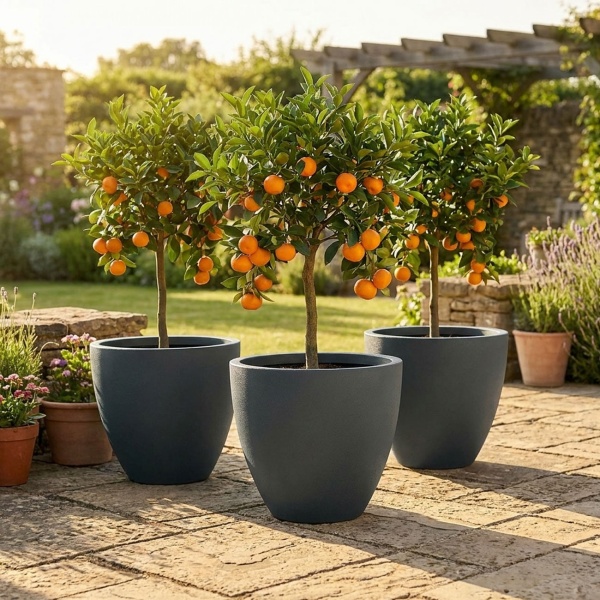 3er-Set Blumentopf Rund 58cm, Graphit – Grosses Pflanzgefäss für Aussen und Innen – Moderne Optik & Edles Design für Garten und Terrasse