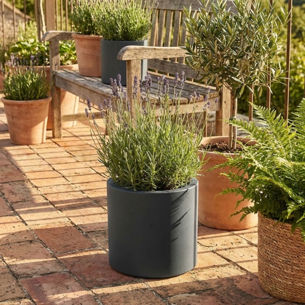 2er-Set Moderner Blumentopf Rund Ø38cm in Anthrazit, Pflanzkübel 19L aus Kunststoff für Innen & Aussen, Frostsicher & UV-Beständig, Leichtgewicht