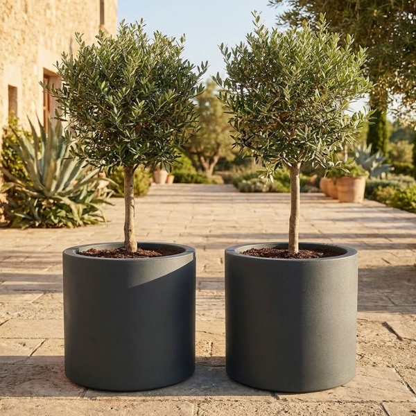 2er-Set Moderner Blumentopf Rund Ø47cm in Anthrazit, Pflanzkübel 40L aus Kunststoff für Innen & Aussen, Frostsicher & UV-Beständig, Leichtgewicht