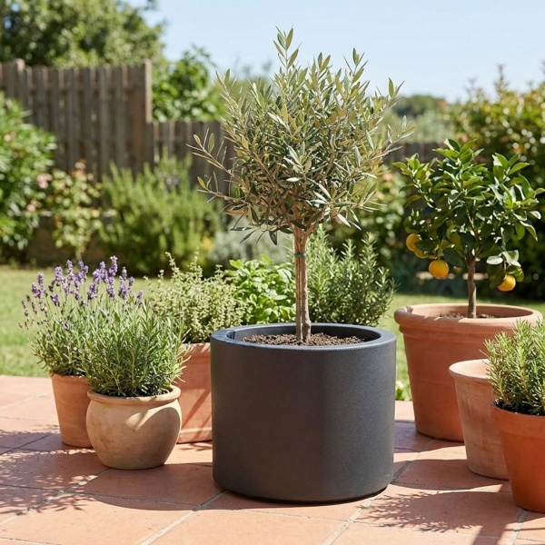 2er-Set Moderner Blumentopf Rund Ø47cm in Anthrazit, Pflanzkübel 40L aus Kunststoff für Innen & Aussen, Frostsicher & UV-Beständig, Leichtgewicht
