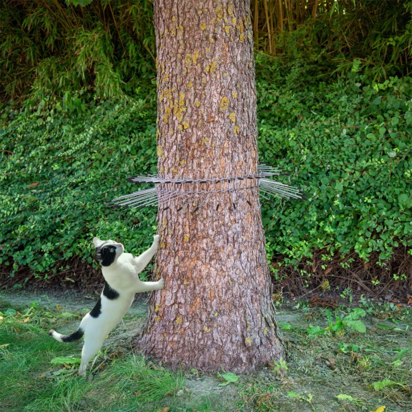 Katzenabwehrgürtel: Effektiver Katzenschreck & Kletterschutz für Bäume – Sicherer Vogelschutz für Nistkasten & Nest, bis 74cm