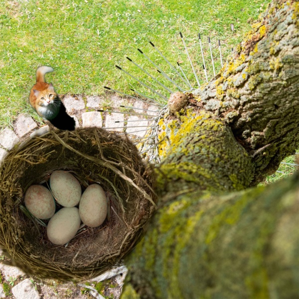 Katzenabwehrgürtel: Effektiver Katzenschreck & Kletterschutz für Bäume – Sicherer Vogelschutz für Nistkasten & Nest, bis 74cm
