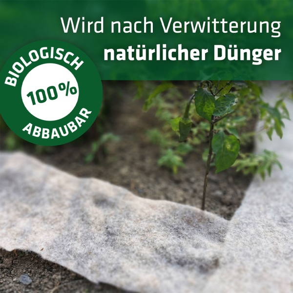 Effektiver Schneckenschutz: 5m Schafwolle Schneckenbremse für Gemüsebeet & Garten - Biologischer, giftfreier Schnecken-Stopp aus Wolle