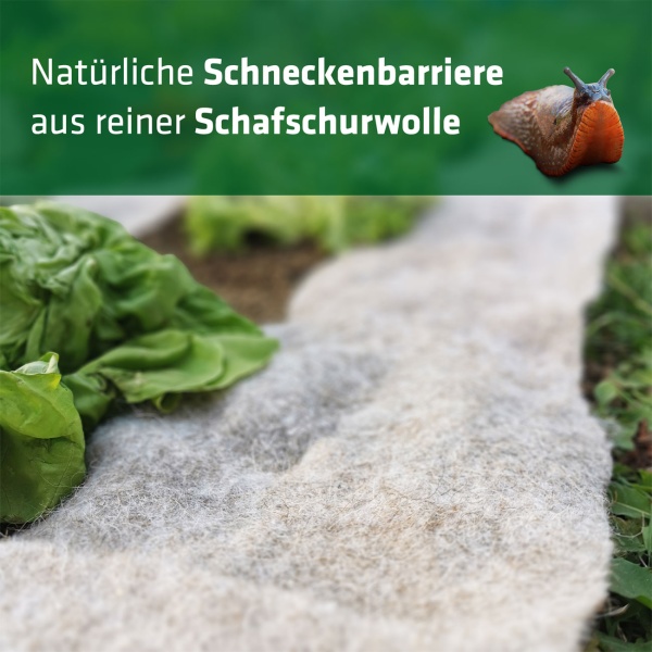 Effektiver Schneckenschutz: 5m Schafwolle Schneckenbremse für Gemüsebeet & Garten - Biologischer, giftfreier Schnecken-Stopp aus Wolle