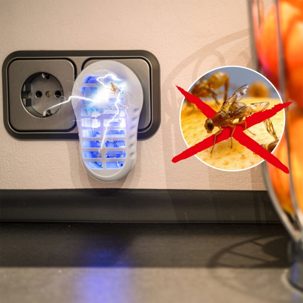Elektrische Fruchtfliegenfalle UV Stecker – Effektiver Obstfliegen Vernichter, Insektenlampe für Küche & Innenraum - Insektizidfrei