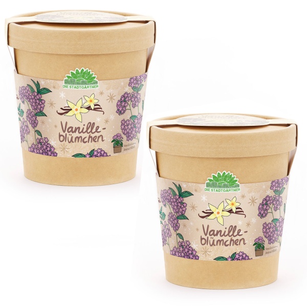2er-Set Vanilleblume Anzuchtset im Becher – Pflanzset mit Duft-Saatgut, Quelltablette & Anleitung – Nachhaltige Geschenkidee zu Weihnachten