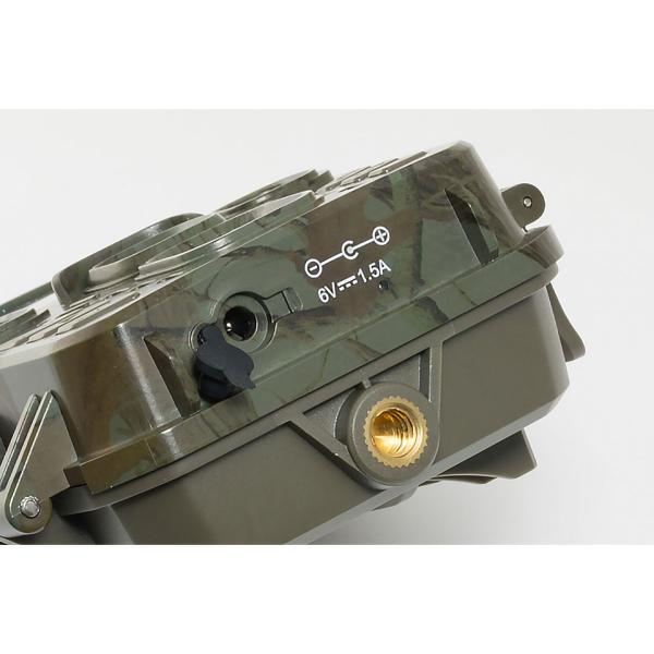 Mini-Wildkamera Full HD 1080p - Jagdkamera mit PIR-Sensor, 0.6s Auslösezeit, Nachtsicht & 1.9" LCD - IP56 Outdoor-Überwachung