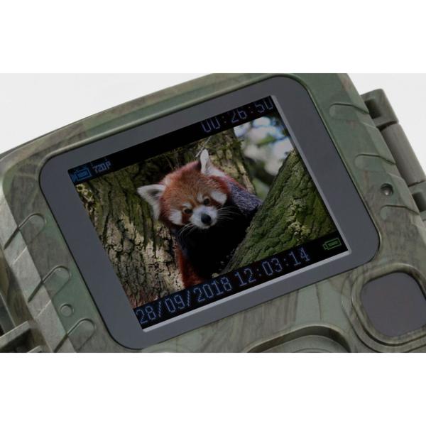 Mini-Wildkamera Full HD 1080p - Jagdkamera mit PIR-Sensor, 0.6s Auslösezeit, Nachtsicht & 1.9" LCD - IP56 Outdoor-Überwachung