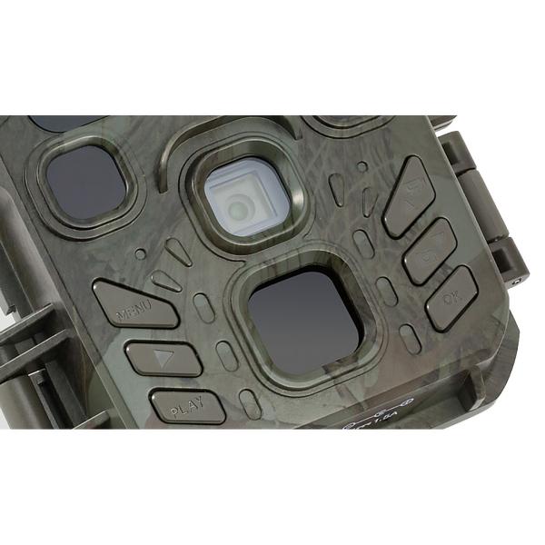 Mini-Wildkamera Full HD 1080p - Jagdkamera mit PIR-Sensor, 0.6s Auslösezeit, Nachtsicht & 1.9" LCD - IP56 Outdoor-Überwachung