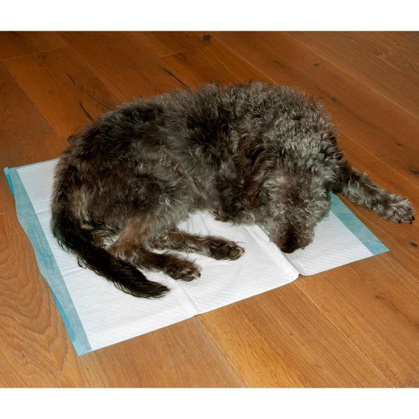 6x Saugstarke Welpenunterlagen (60x60cm): 5-lagig, 100% auslaufsicher - Hygienische Trainingsunterlage für Hunde - Schützt Böden