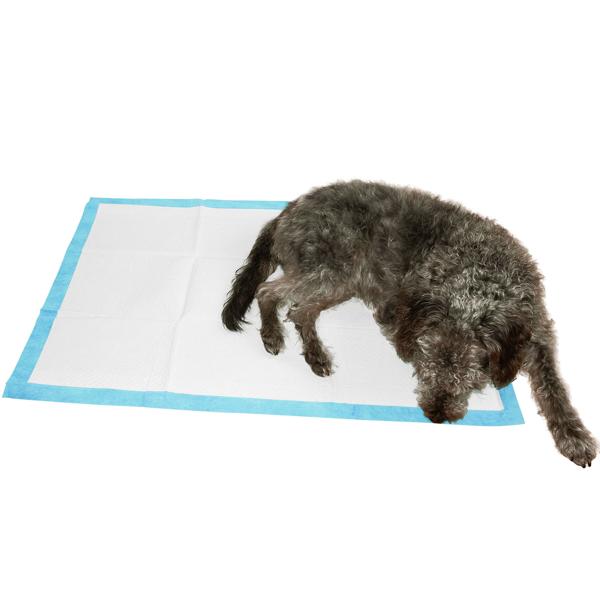 XL-Packung Trainingspads für Hunde (100 Stück): 5-lagige, extra saugfähige Welpenunterlagen, auslaufsicher, 60x90 cm - saugstark u. hygienisch