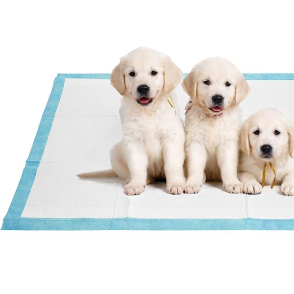 XL-Packung Trainingspads für Hunde (100 Stück): 5-lagige, extra saugfähige Welpenunterlagen, auslaufsicher, 60x90 cm - saugstark u. hygienisch