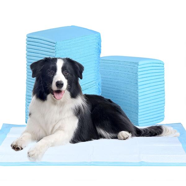 XXL-Packung Trainingspads für Hunde (200 Stück): 5-lagige, extra saugfähige Welpenunterlagen, auslaufsicher, 60x90 cm - saugstark u. hygienisch