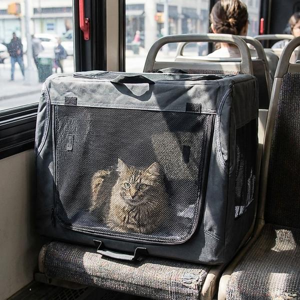 Robuste Faltbare Transportbox für Tiere bis 20kg - schwarz, platzsparend & stabil – sichere Transportlösung für Hunde, Katzen, Kaninchen & mehr