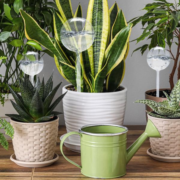 Glas Bewässerungskugeln, 4er-Set, 500 & 260ml, Transparent – Selbstbewässerung für Zimmerpflanzen, einfache Pflege