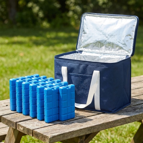 Kühlelemente 12er Set – 200g Kühlakkus für Kühltasche & Kühlbox – Kleine Kälteakkus für Unterwegs, Camping & Picknick – Blau, langanhaltend kühlend