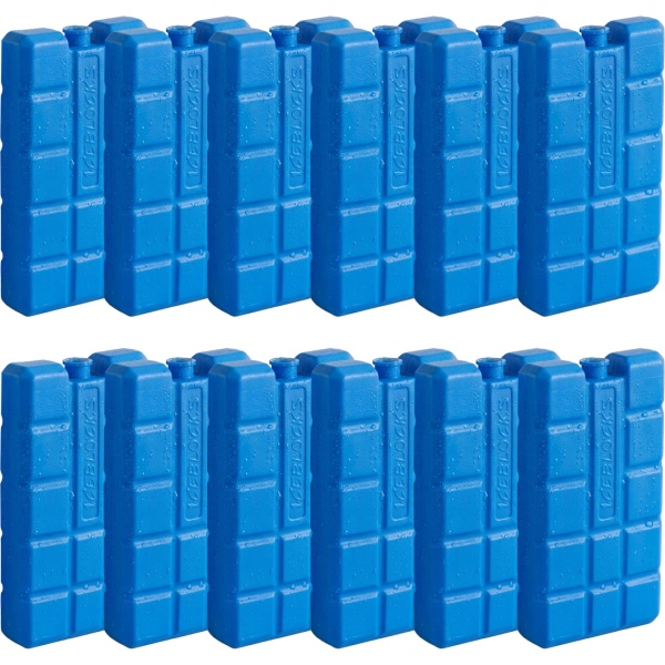 Kühlelemente 12er Set – 200g Kühlakkus für Kühltasche & Kühlbox – Kleine Kälteakkus für Unterwegs, Camping & Picknick – Blau, langanhaltend kühlend