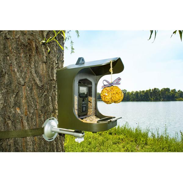 8 MP Outdoor-Vogelkamera mit PIR, Futter & Wasser: Tag/Nacht-Aufnahmen, IP56-Wetterfest, Geniale Vogelbeobachtung