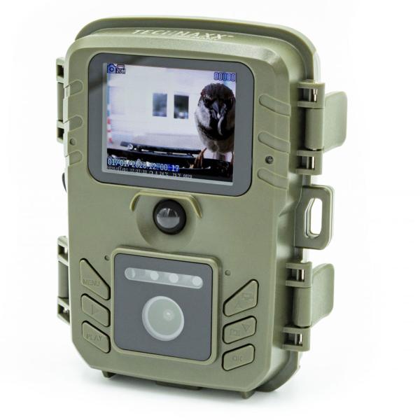 8 MP Outdoor-Vogelkamera mit PIR, Futter & Wasser: Tag/Nacht-Aufnahmen, IP56-Wetterfest, Geniale Vogelbeobachtung