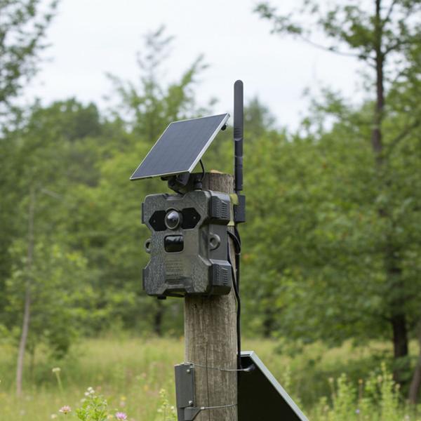Solar-Wildkamera 4G-LTE mit IR-Nachtsicht – FullHD-Überwachungskamera mit PIR-Bewegungsmelder & App-Zugriff, IP66