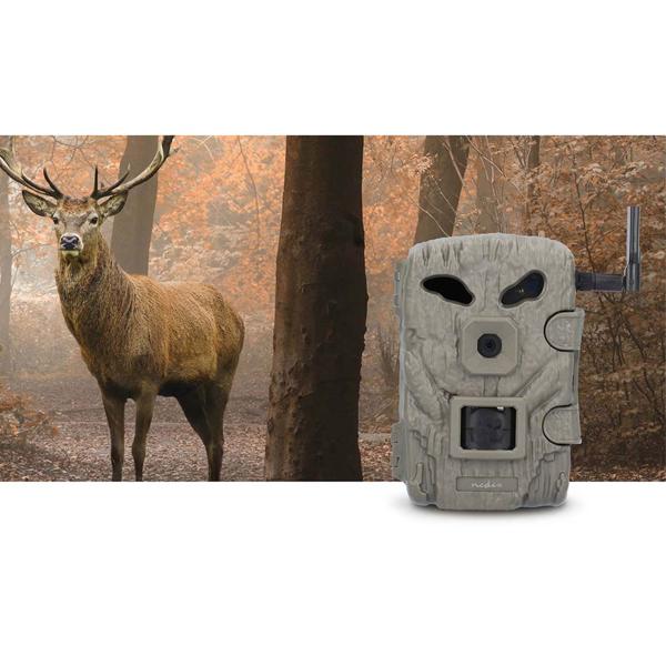 Full-HD-Trail Wildkamera, 4G, 30MP, 1080p, CMOS, IR Nachtsicht, PIR Bewegungssensor, Zeitraffer, IP66, Camera Trap Wireless App