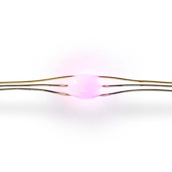 SmartLife LED Lichterkette - 50 LEDs, 5m, RGB 16 Mio. Farben, dimmbar, Wi-Fi - Sprachsteuerung Google Home/Alexa, Android/iOS, IP44