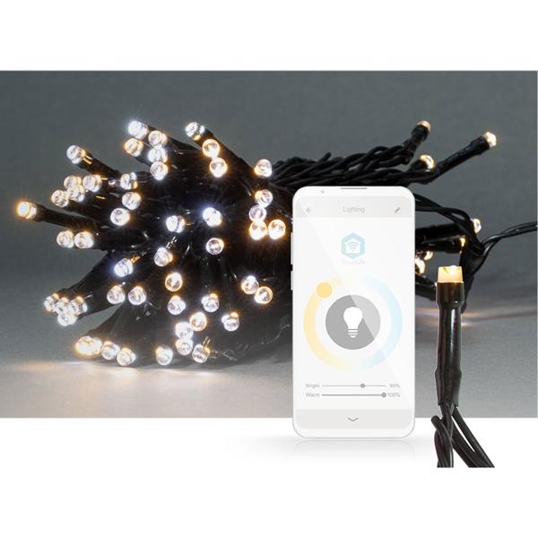 SmartLife LED Lichterkette - warmweiss/kaltweiss - 50 LEDs, 5m, IP65 - App- & Sprachsteuerung mit Alexa/Google Assistant - 11 Lichtmuster